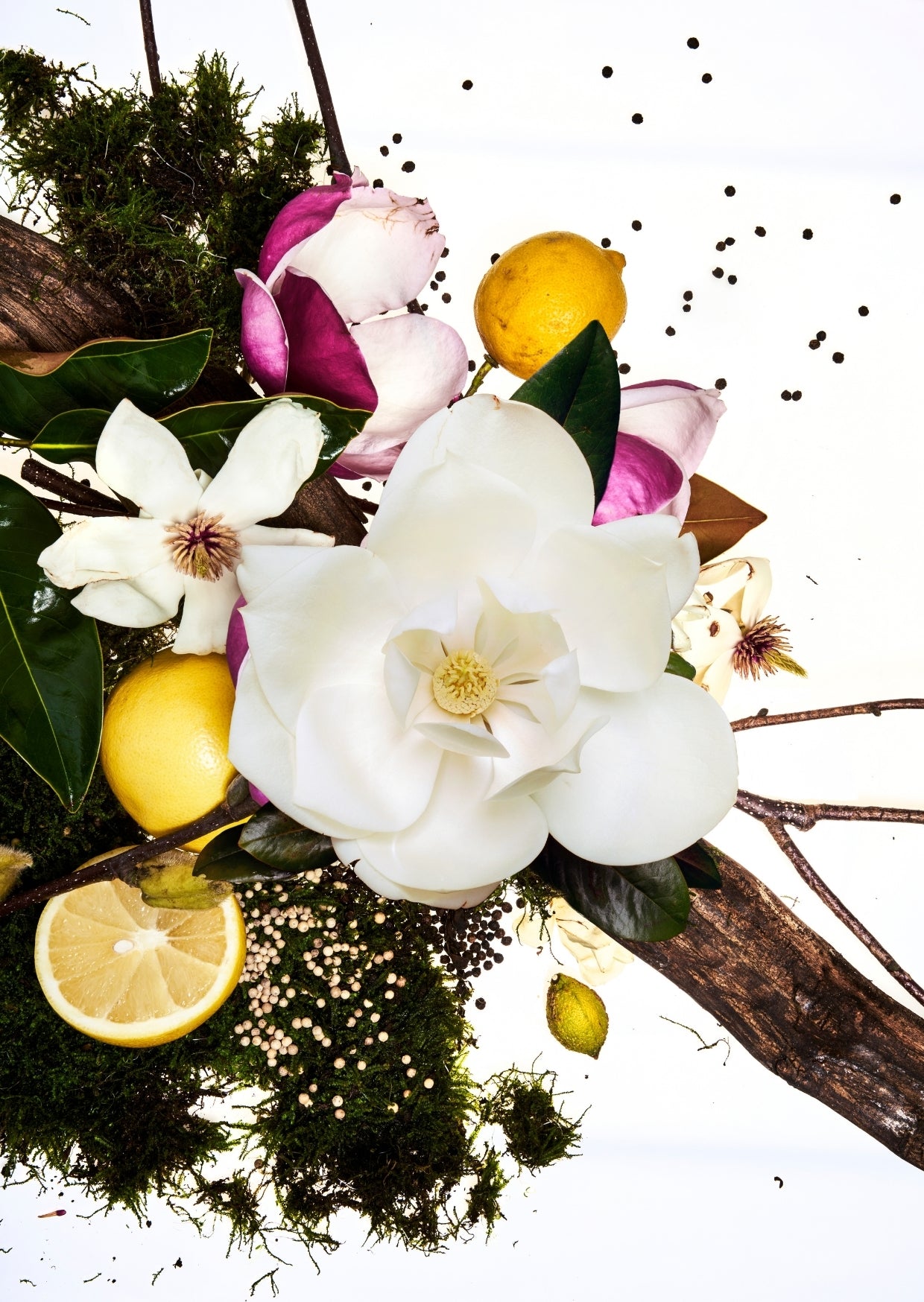 MAGNOLIA GRANDIFLORA SANDRINE EAU DE PARFUM - 50ml